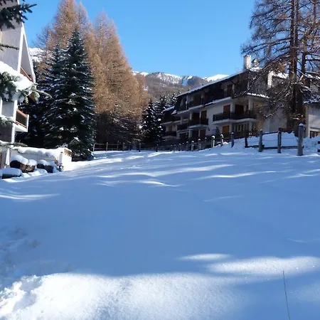 House Driade By Holiday World