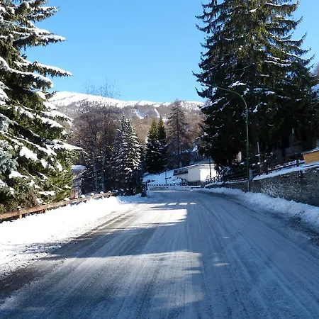 House Driade By Holiday World