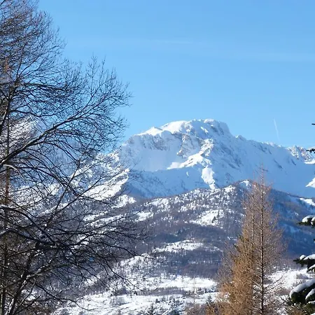 House Driade By Holiday World *